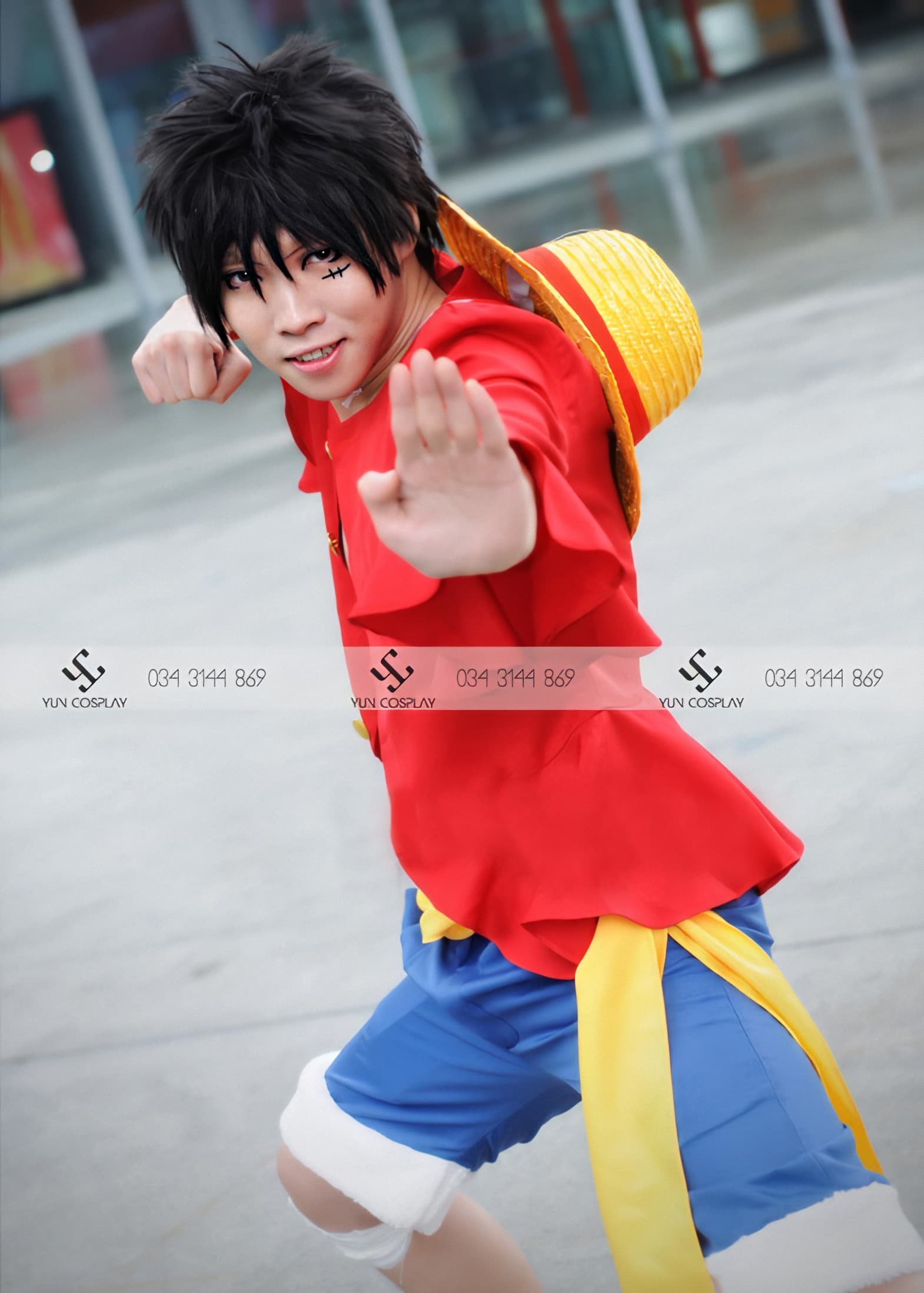 monkey-d-luffy-seasson-9